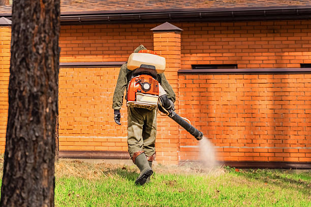 Top rated local Wasp Removal specialists in Pulaski, TN